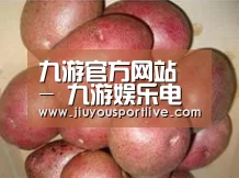 产品展示标题1
