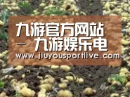 种植基地八(图1)